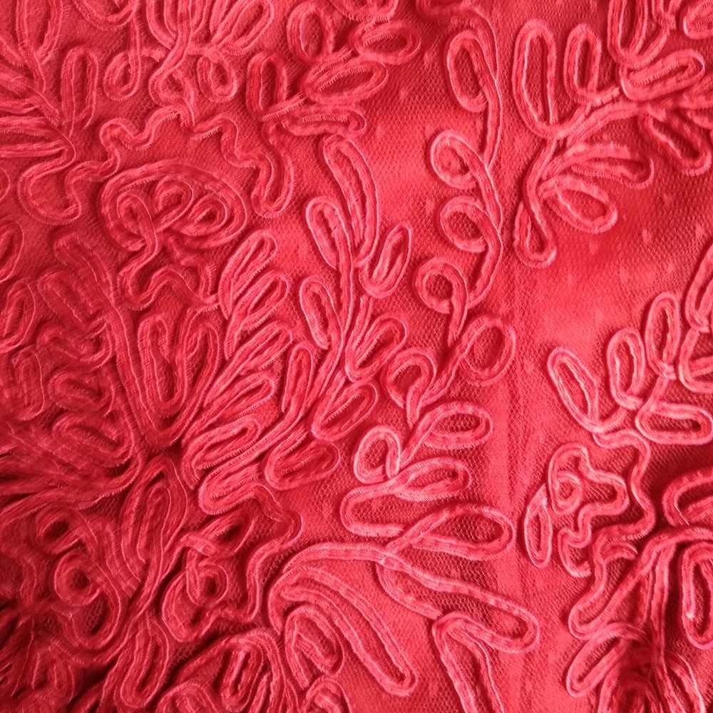 NWT Cahcet Ind. Sz. 14 Soutache Embroidered Long Sleeveless Dress - Picture 6 of 8